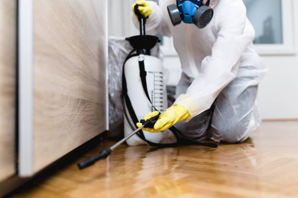 Best Exterminator Services  in Crandon, WI