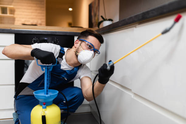 Best Residential Pest Control  in Crandon, WI