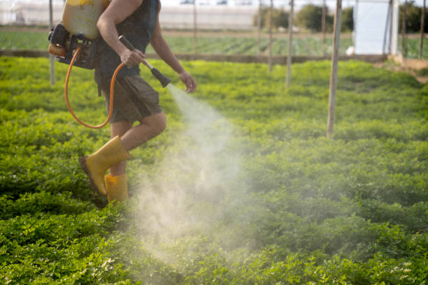 Best Best Pest Control Companies  in Crandon, WI