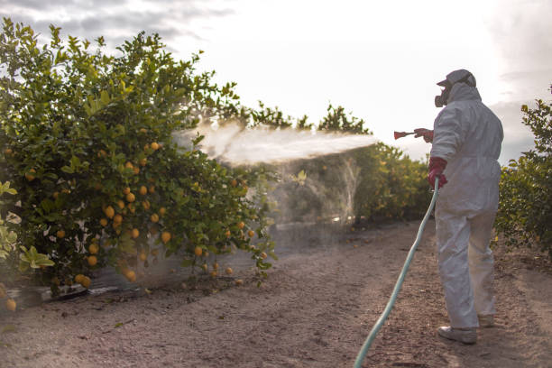 Best Pest Removal Services  in Crandon, WI