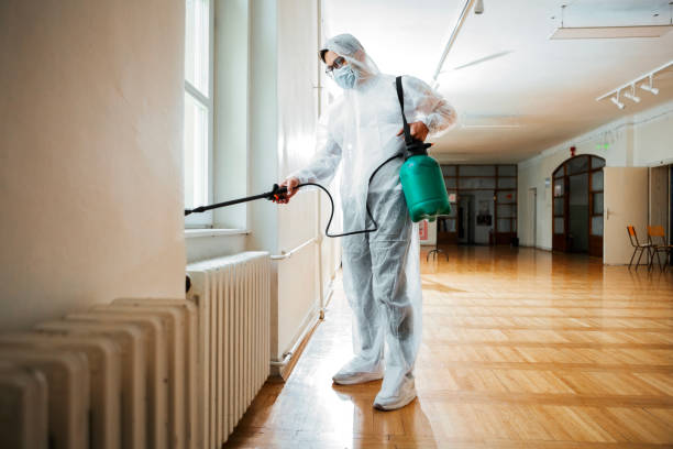 Best Wasp Removal Services  in Crandon, WI