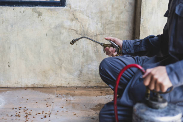 Best Pest Control Near Me  in Crandon, WI